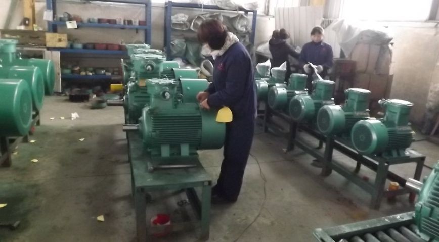 河北防爆電機(jī)生產(chǎn)廠(chǎng)家生產(chǎn)場(chǎng)景圖